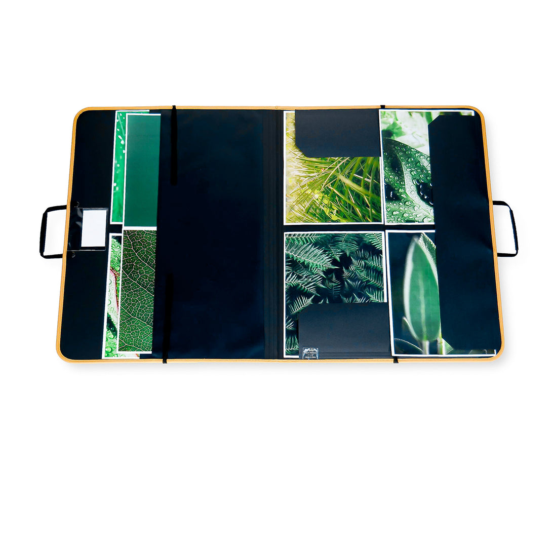 Case File Artist 17